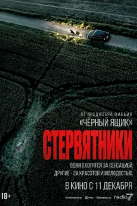 Стервятники 2025